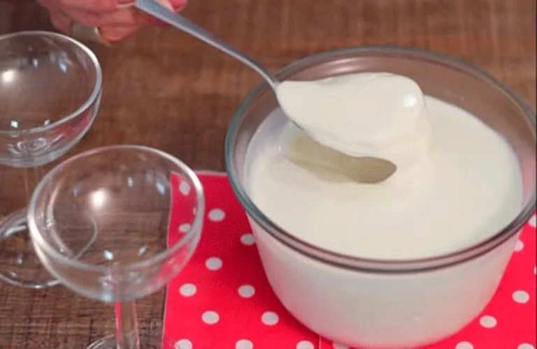 iogurte natural com 2 ingredientes