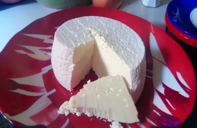 receita de queijo caseiro com 3 ingredientes depois que eu aprendi essa receita eu só faço assim